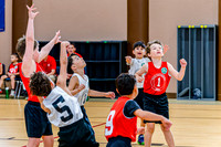 Lions_Summer_Bball_Tiny_Playoff_Game1-7