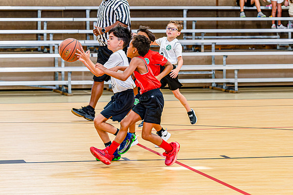 Lions_Summer_Bball_Tiny_Playoff_Game1-23