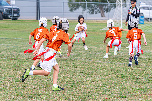 Longhorns_09112026-7