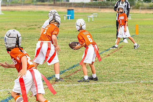 Longhorns_09112026-14