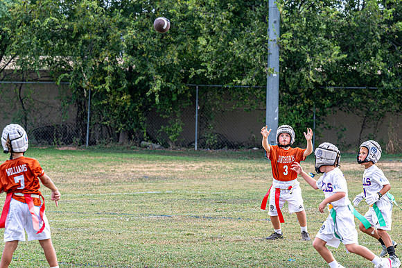 Longhorns_09112026-129