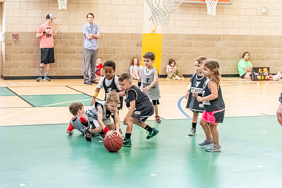 Gorillas-160